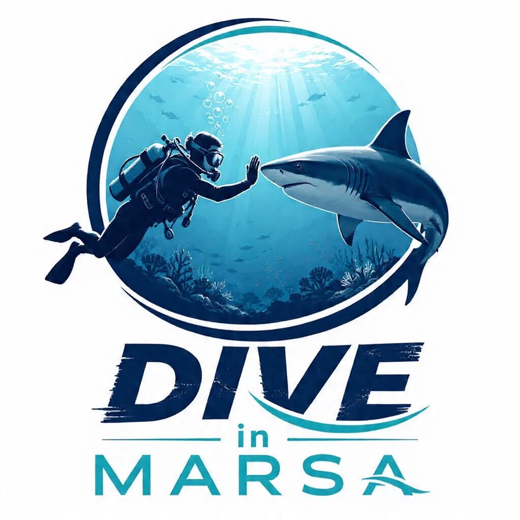 Dive in Marsa Alam
